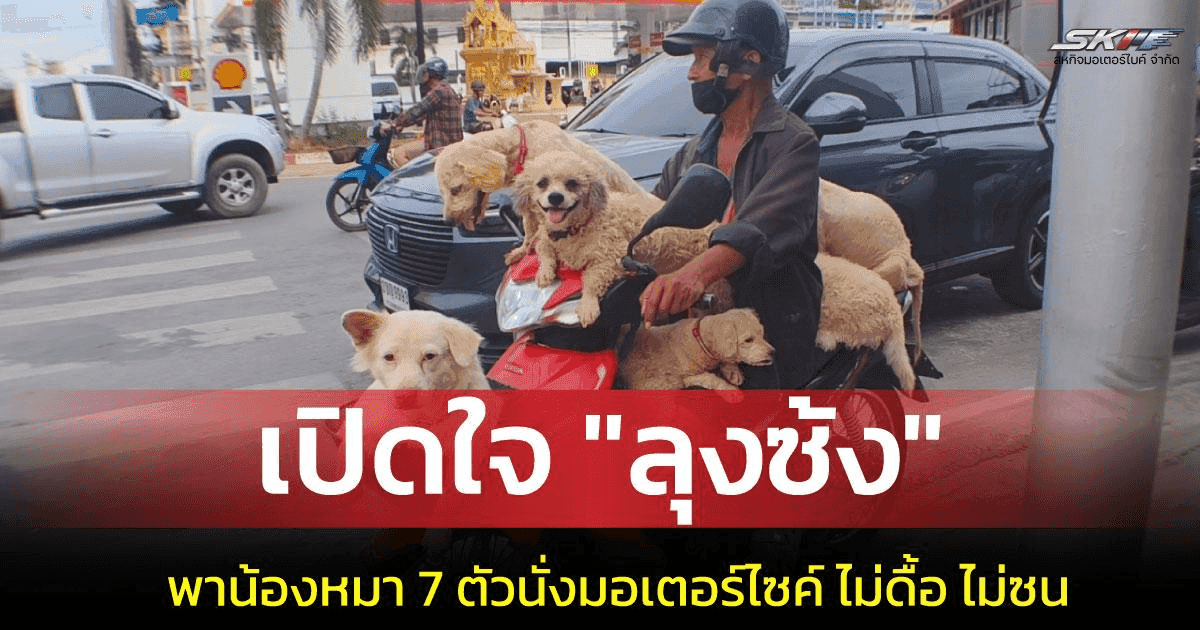 เปิดใจ “ลุงซ้ง” วัย 75 ขี่มอเตอร์ไซค์พาน้องหมา 7 ตัวเที่ยวทุกวัน 10 ปีไม่เคยเกิดอุบัติเหตุ